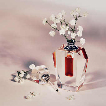 Fragrance Editorial - Studio Ventana